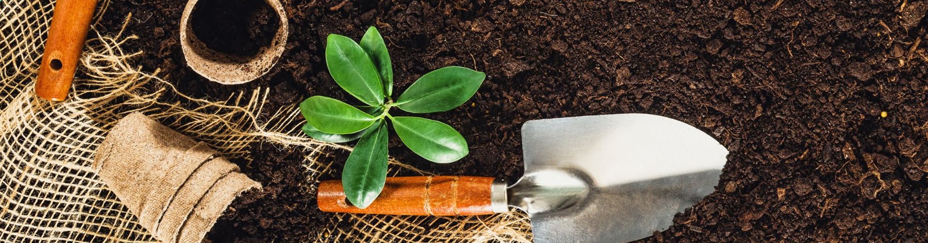 KW 8 Header Vorfrühling Karussell