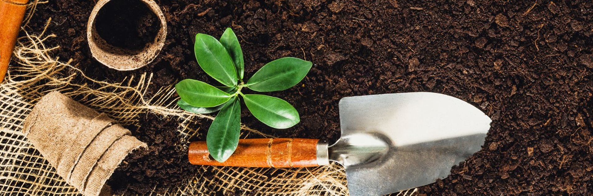 Vorbereitung auf die Frühlingssaison