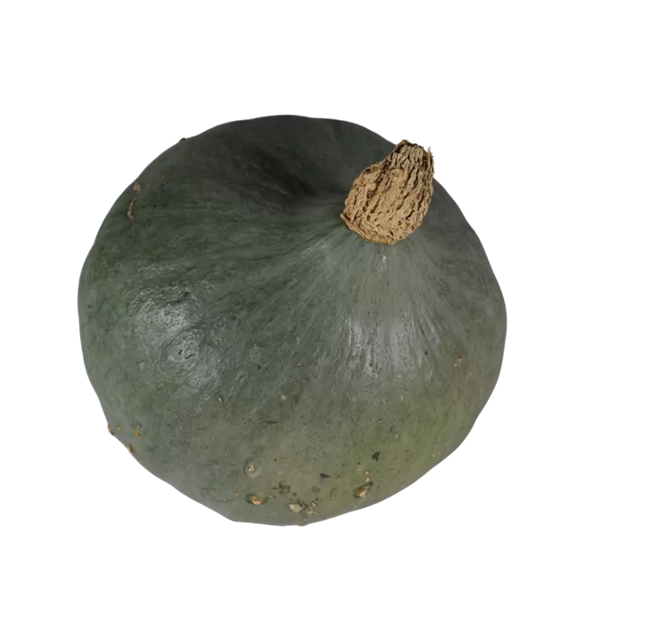 Speisekürbis Blue Ballet