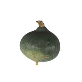 Speisekürbis Blue Ballet