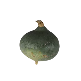 Speisekürbis Blue Ballet