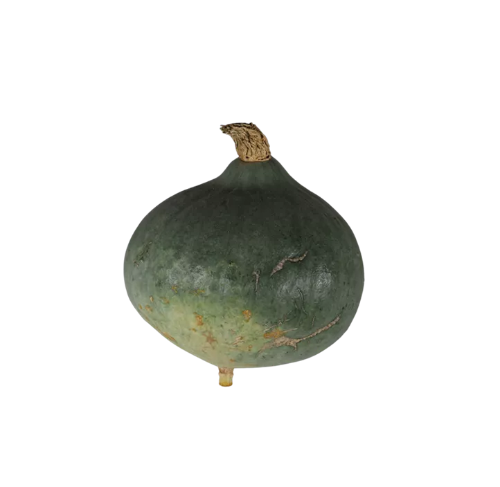 Speisekürbis Blue Ballet