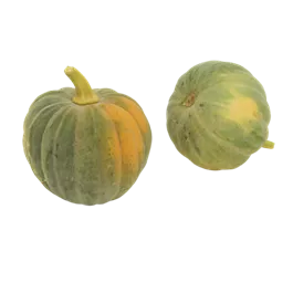 Speisekürbis Futsu black rinded