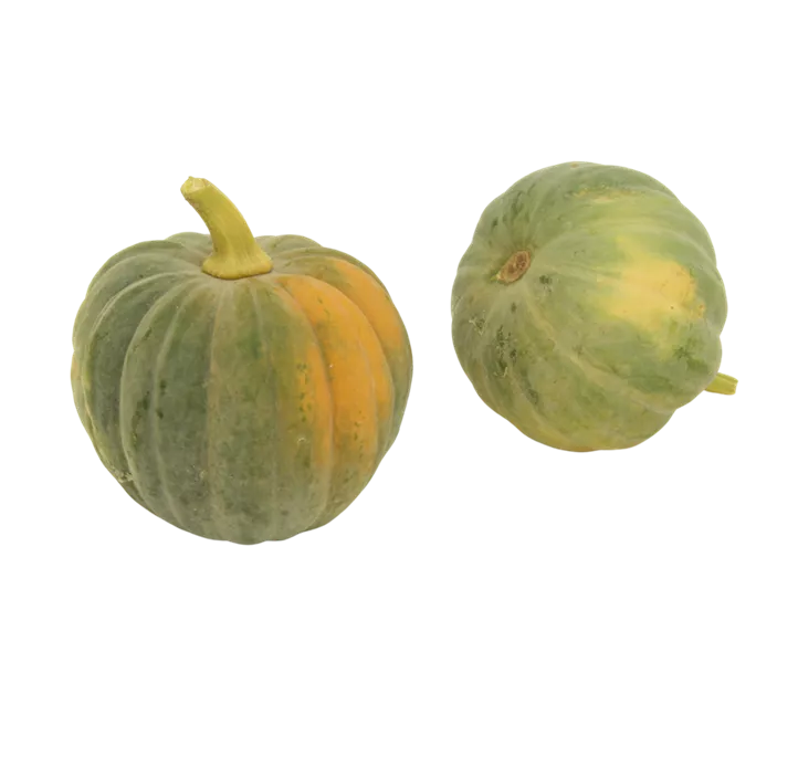 Speisekürbis Futsu black rinded