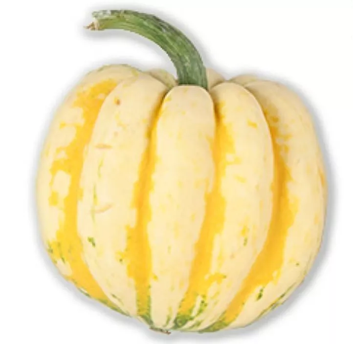 Speisekürbis Karneval