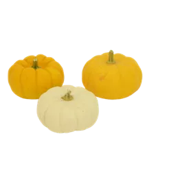 Speisekürbis Mandarin