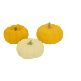 Speisekürbis Mandarin