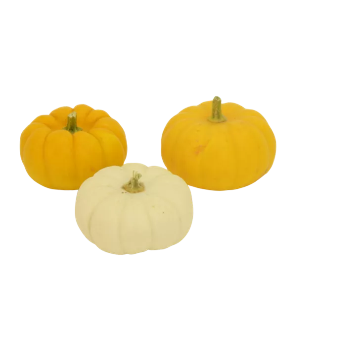 Speisekürbis Mandarin