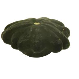 Speisekürbis Pattisson Mix