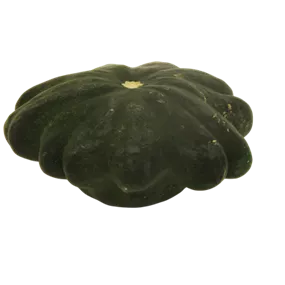 Speisekürbis Pattisson Mix