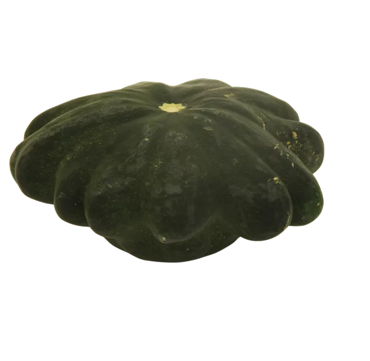 Speisekürbis Pattisson Mix