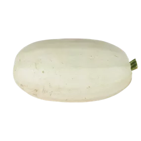 Speisekürbis Spagetti Spuash