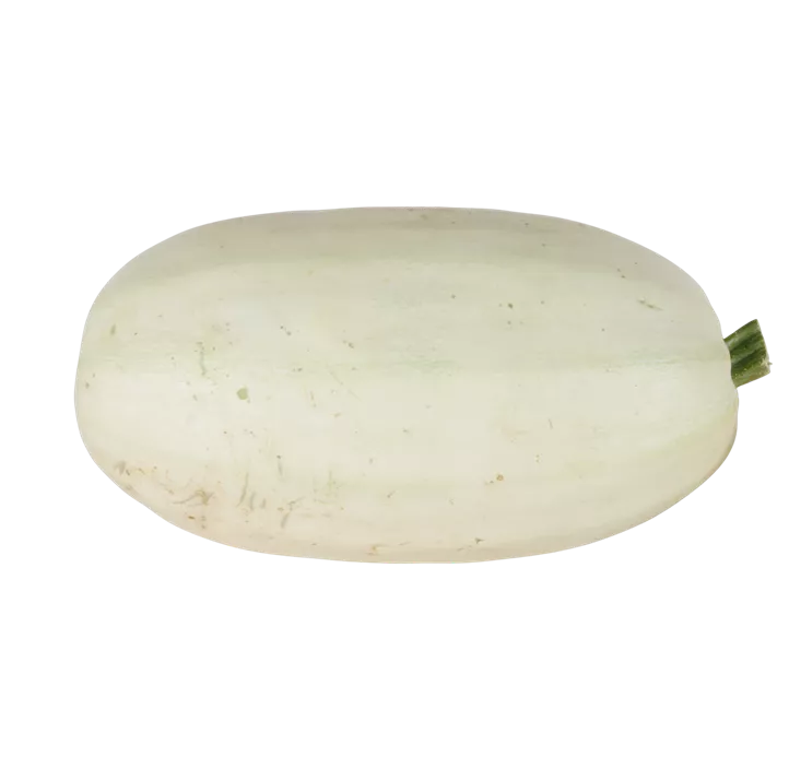 Speisekürbis Spagetti Spuash