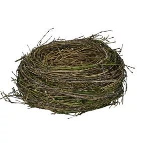 Nest