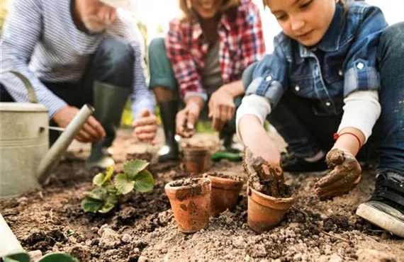 KW 11 + 12 Biologischer Garten Bild 1.jpg