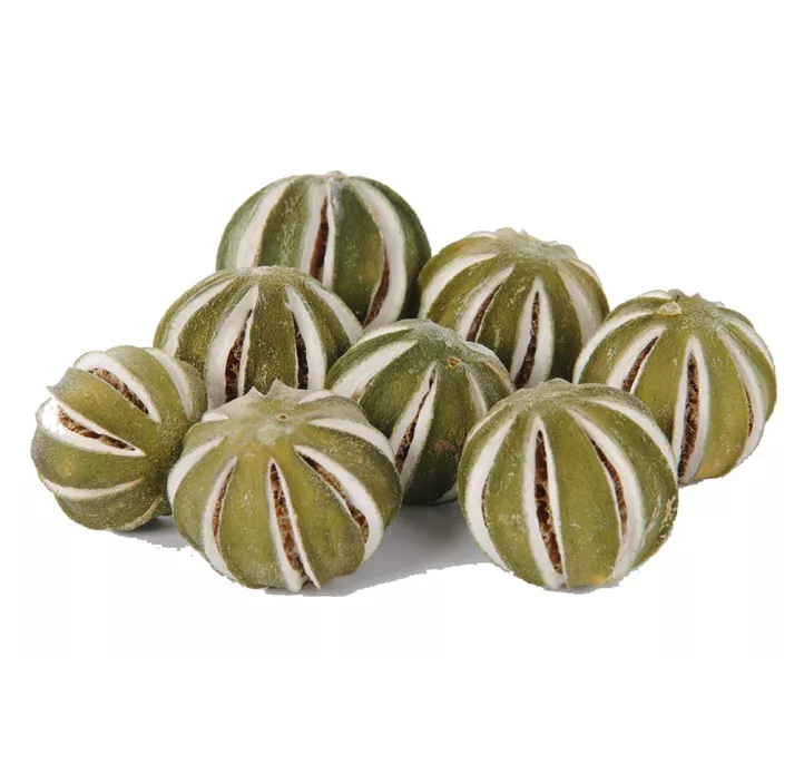 Deko Orange Grün Pkg