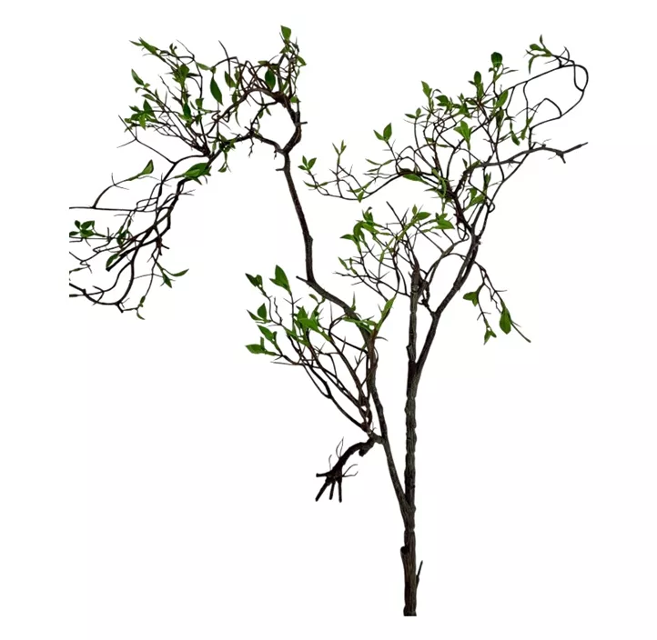 Hängeweide mit Blätter