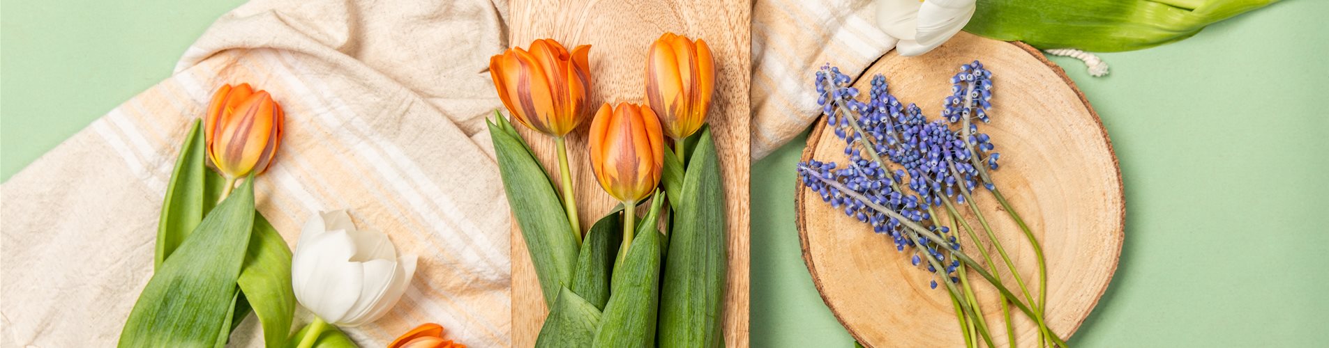 Frühling - Tulpen im Ambiente