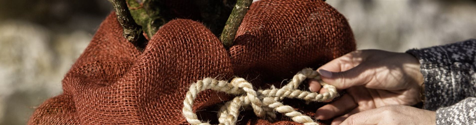 06070-0-556-2000-428 06070-0-556-2000-428