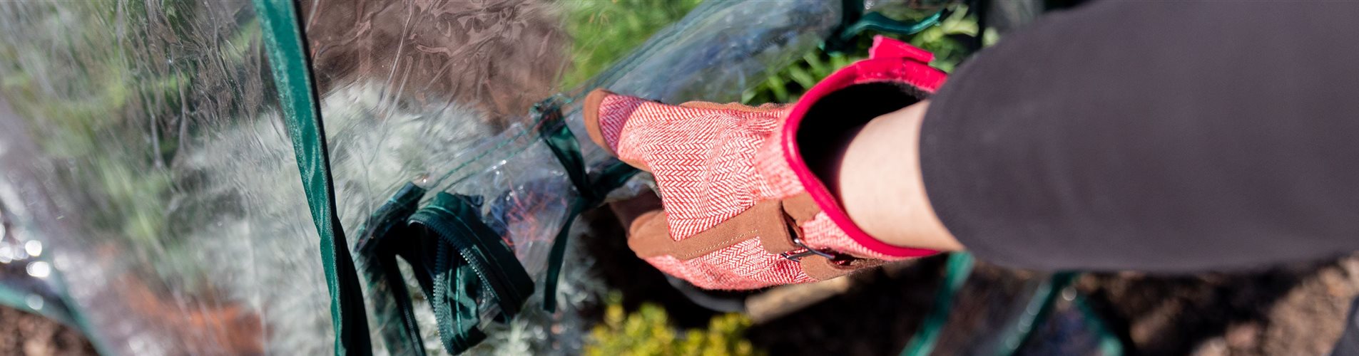 Überwinterung - Winterschutzzelt Überwinterung - Winterschutzzelt