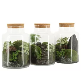 Landscape terrarium