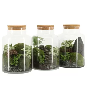 Landscape terrarium