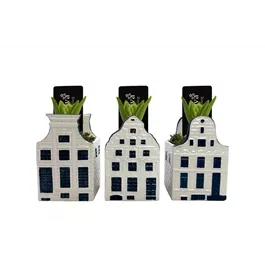 Arrangement Bold Blue House