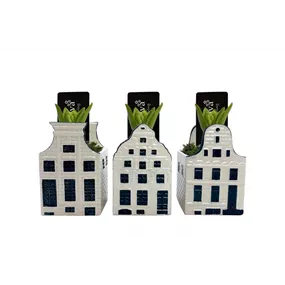 Arrangement Bold Blue House