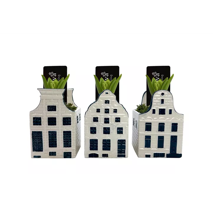 Arrangement Bold Blue House