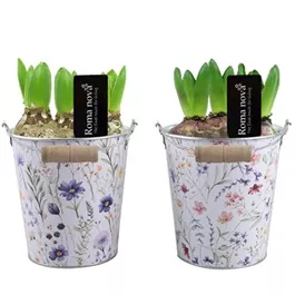 Arrangement Brilliant Bouquets