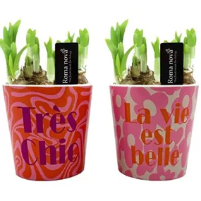 Arrangement Très Chic