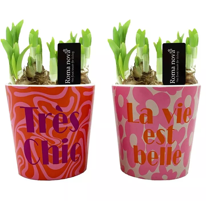 Arrangement Très Chic