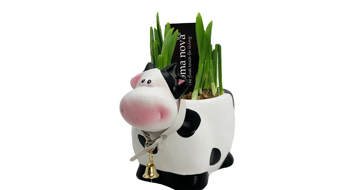 Arrangement Cow Medium - Bellaflora