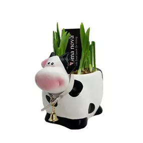 Arrangement Cow Medium