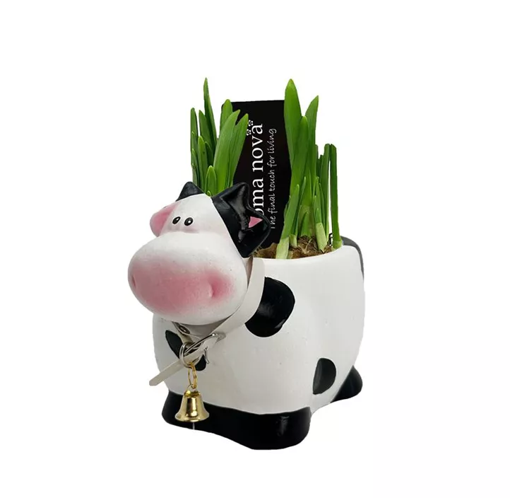Arrangement Cow Medium