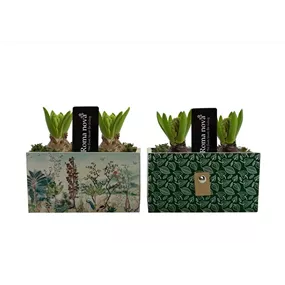 Arrangement Wild Woods