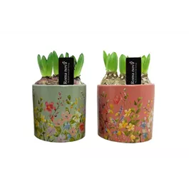 Arrangement Floral Finesse