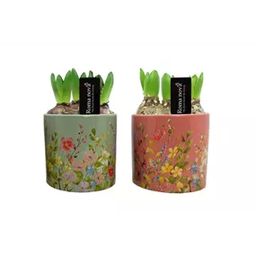 Arrangement Floral Finesse