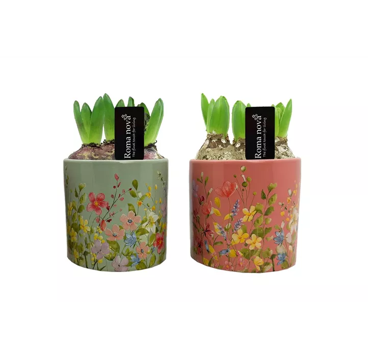 Arrangement Floral Finesse