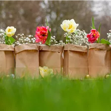 Geschenkverpackungen