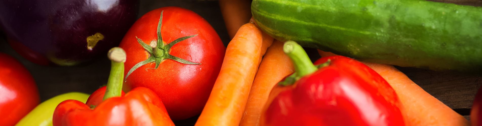 iStock-495039538-0-1902-5760-1234 iStock-495039538-0-1902-5760-1234