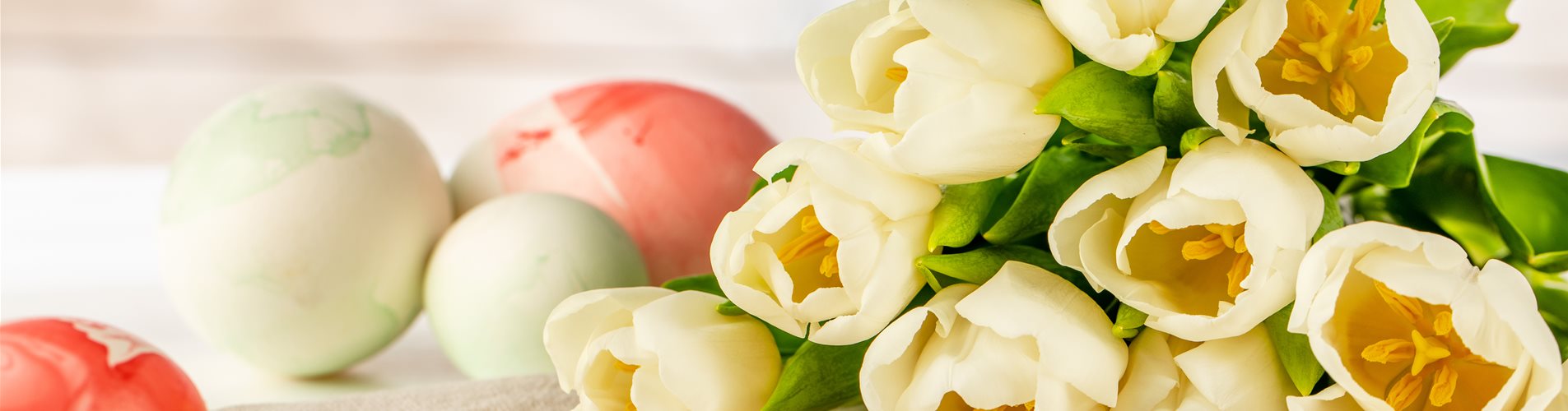 Ostern - Tulpen
