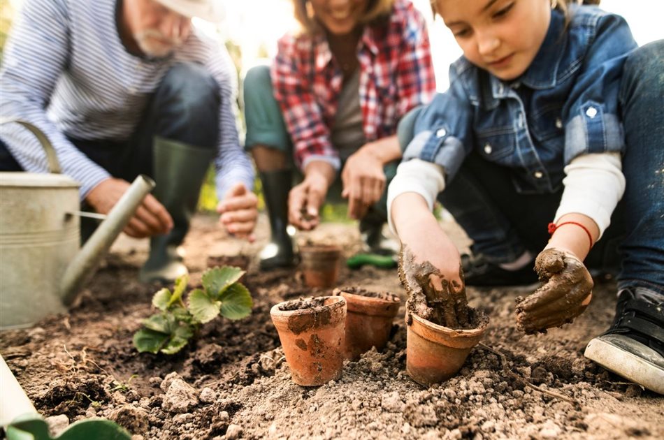 Dein Weg zum biologischen Garten
