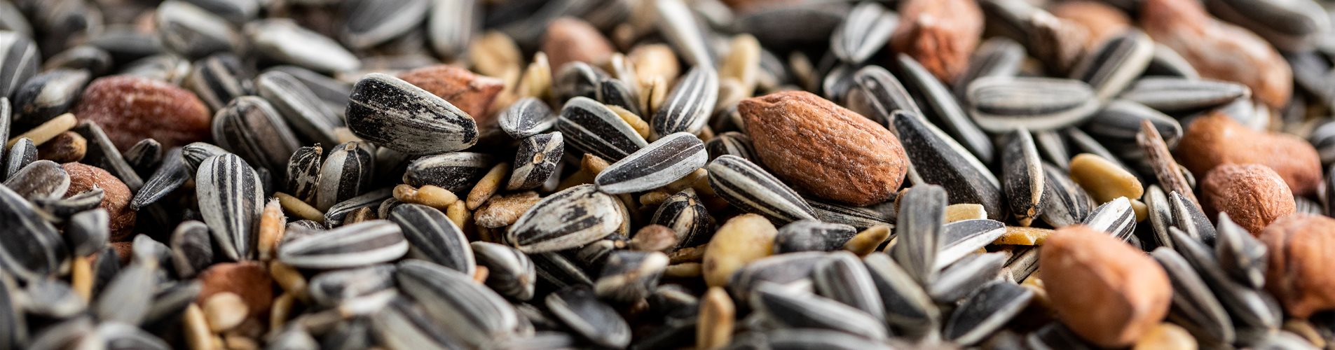 Vogelfutter Vogelfutter