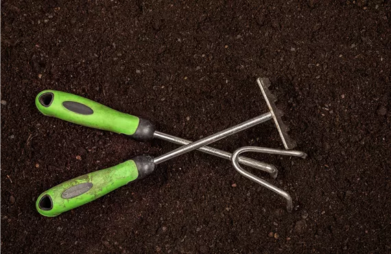 Gartenwerkzeuge auf Erde