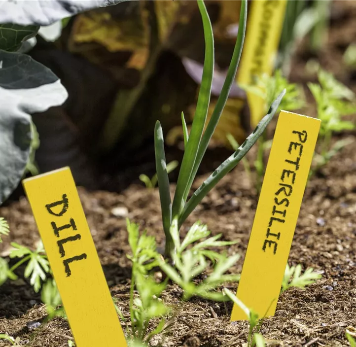 Holz-Stecketiketten 25 Stk.