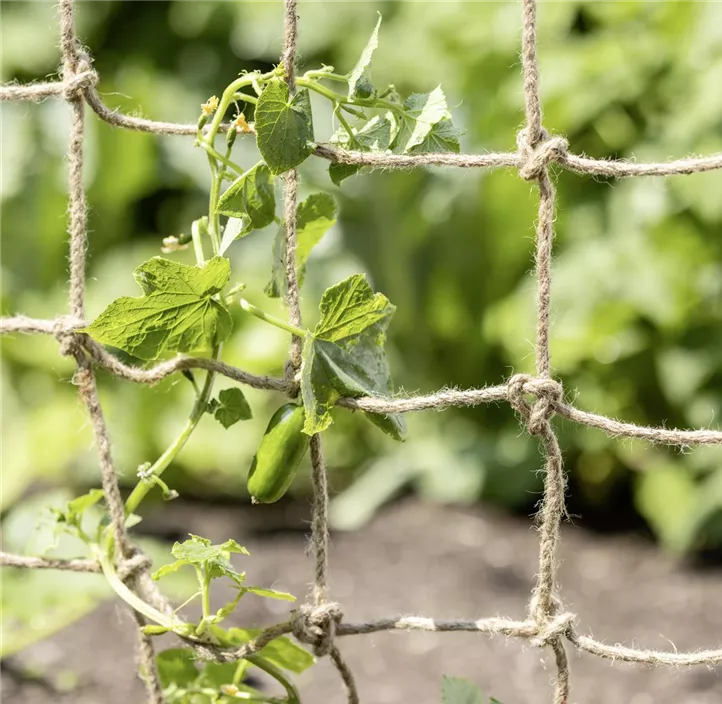 Jute Ranknetz Greenline