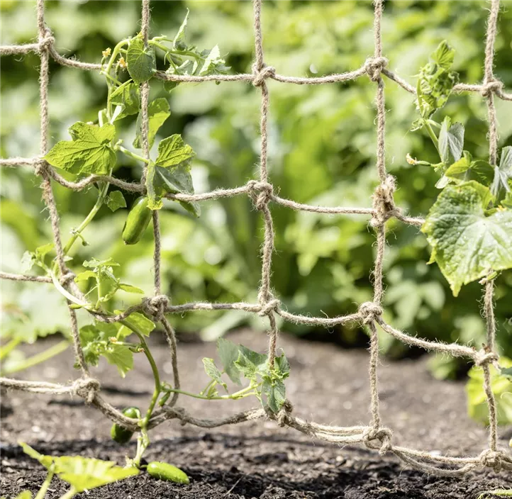 Jute Ranknetz Greenline