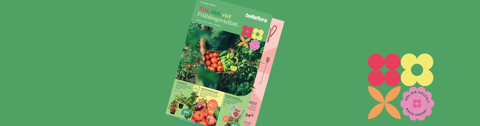 FB 03 -2026 Header-3