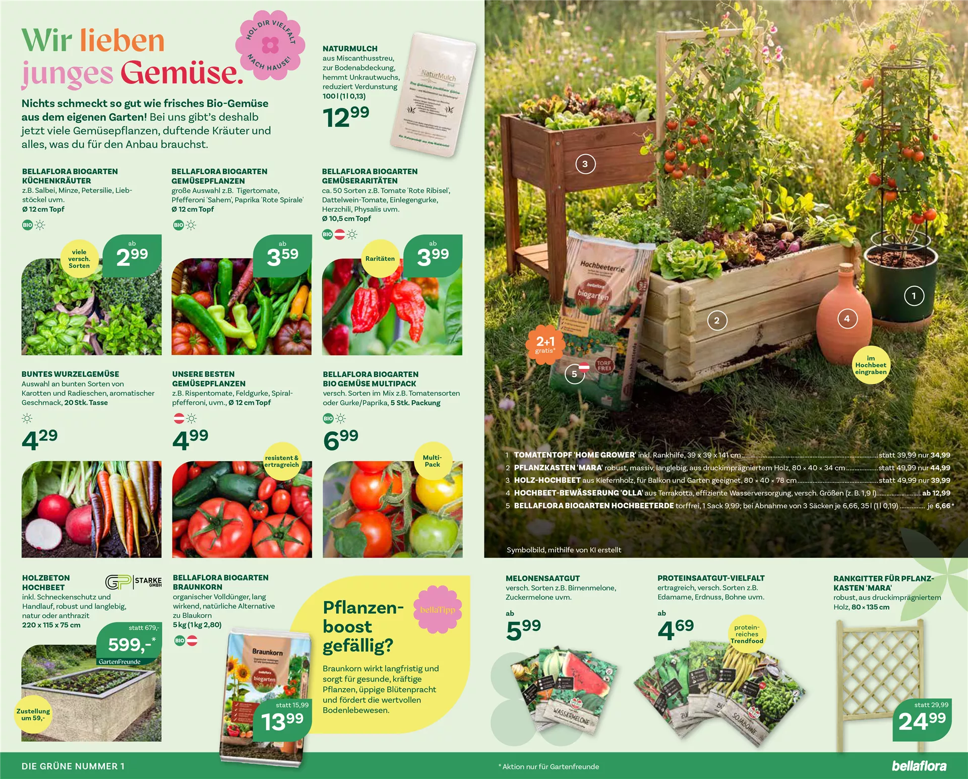 Flugblatt 3 Seite 2-3.png